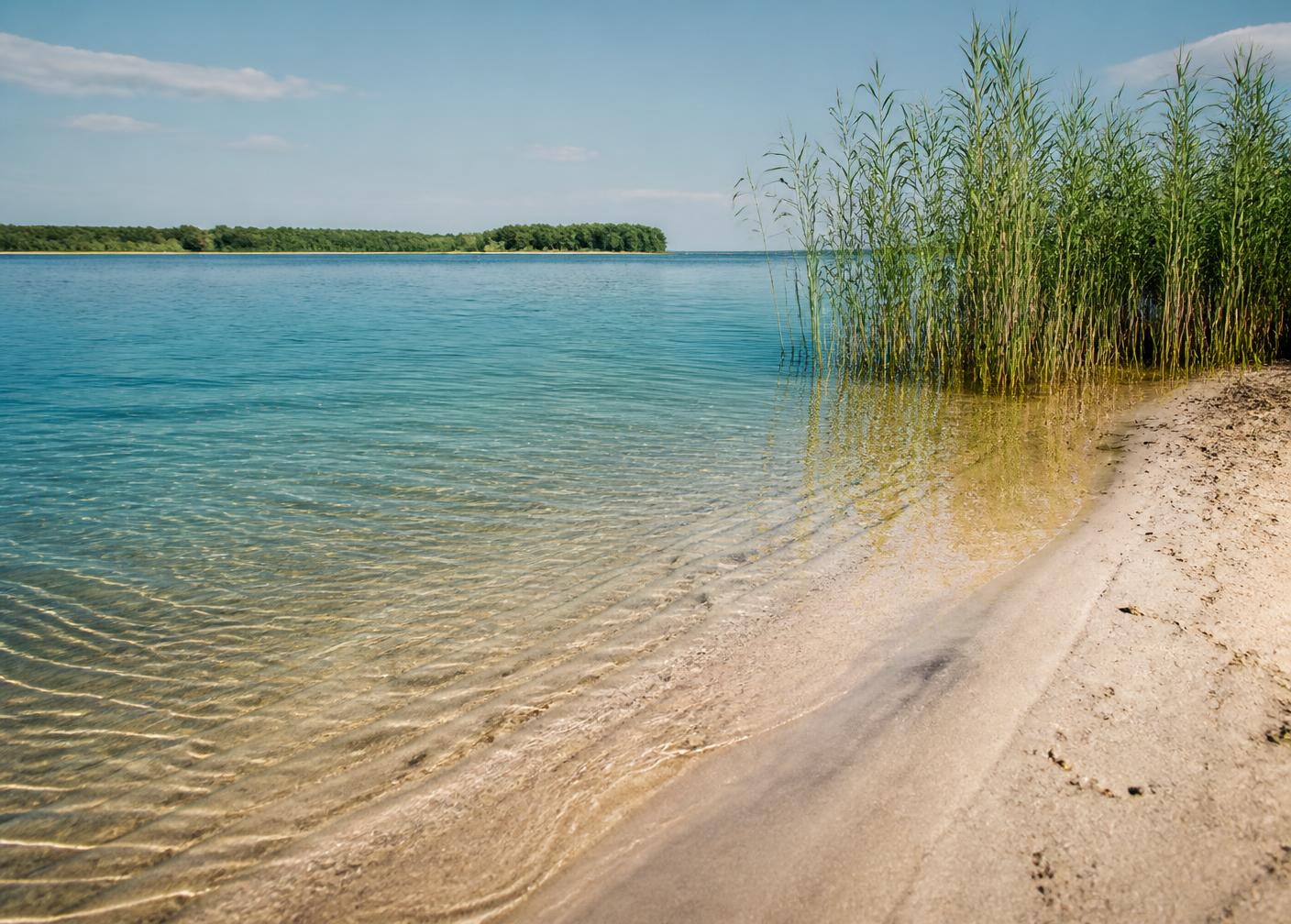 Zandstrand met helder water aan het Veluwemeer